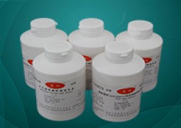乙型副傷寒沙門菌 Salmonella paratyphi B CMCC(B) 50 094