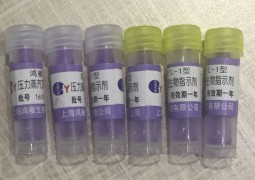 嗜熱脂肪芽孢桿菌生物指示劑